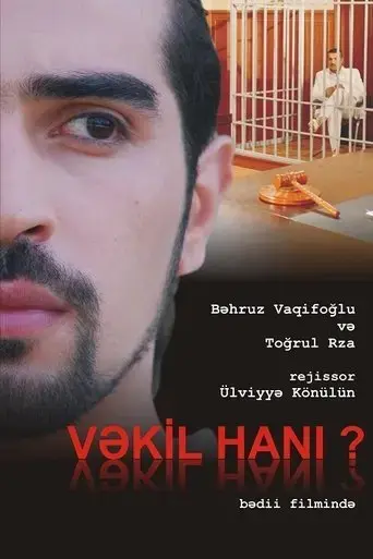 where-is-the-lawyer-2011